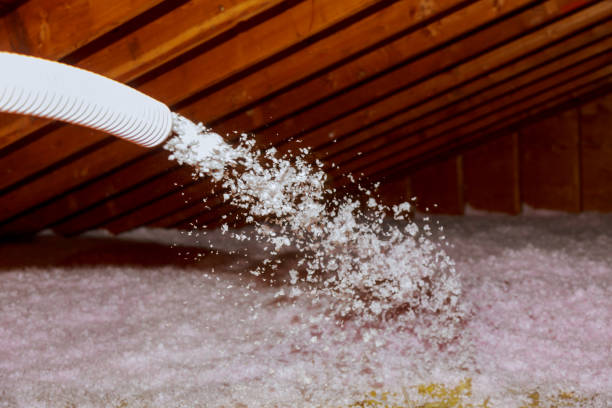 Insulation Inspection Services in Cimarron, KS