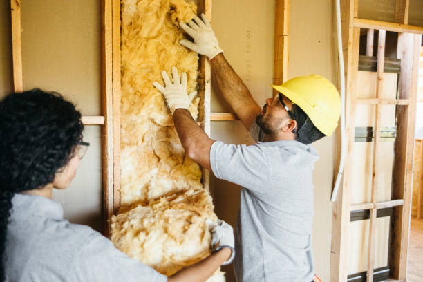 Best Insulation for New Construction  in Cimarron, KS